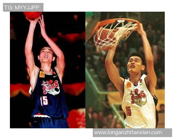 姚明空拳：从篮球巨星到武术传承者的精彩人生旅程