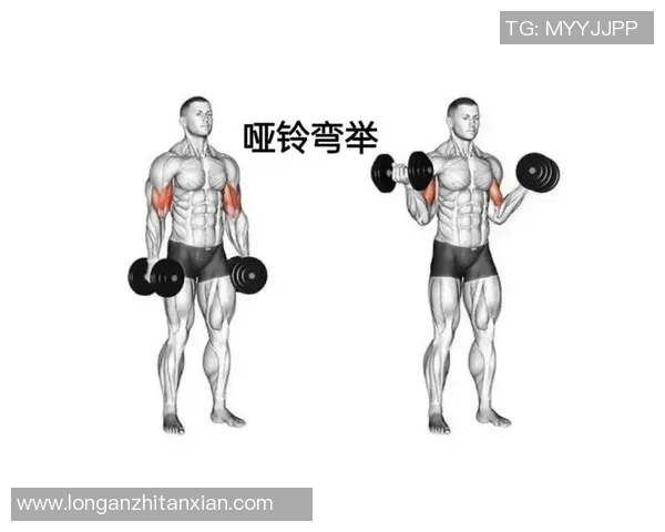 哑铃太重是否会影响锻炼效果和身体健康的全面分析与建议