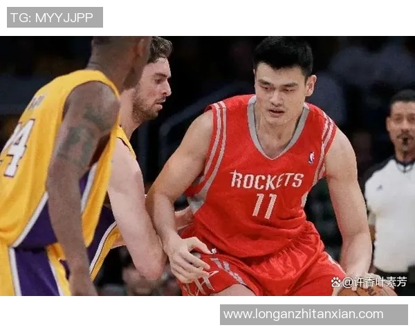 第11号篮球明星的传奇之路与背后故事揭秘
